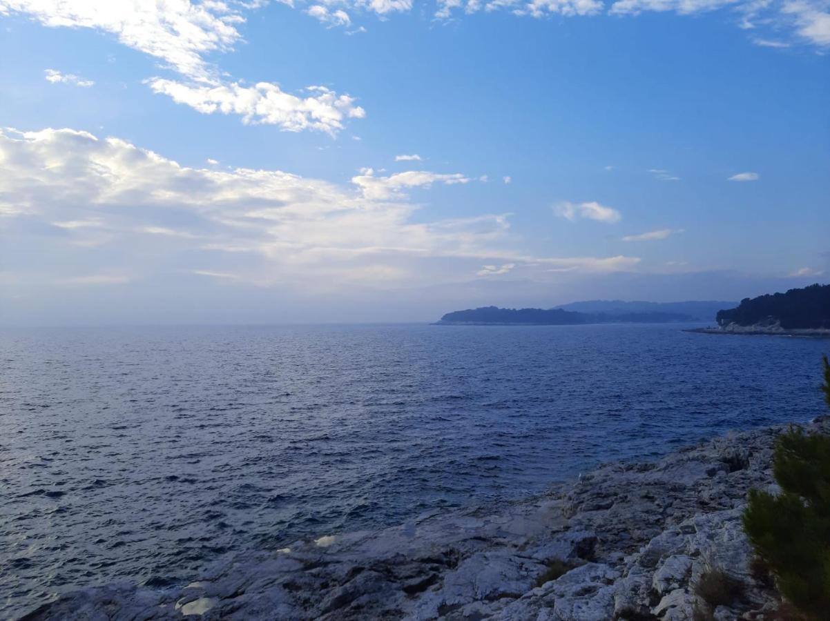 Apartman Sky